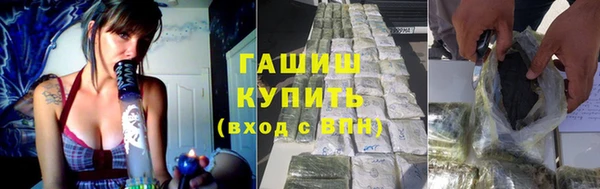 индика Вязьма