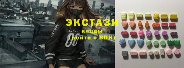 индика Вязьма