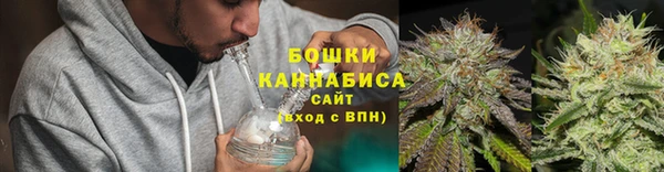 индика Вязьма