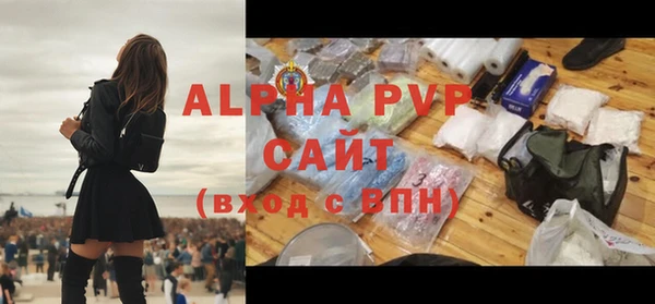 СК Горно-Алтайск