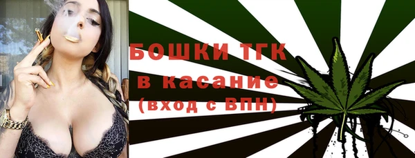 индика Вязьма
