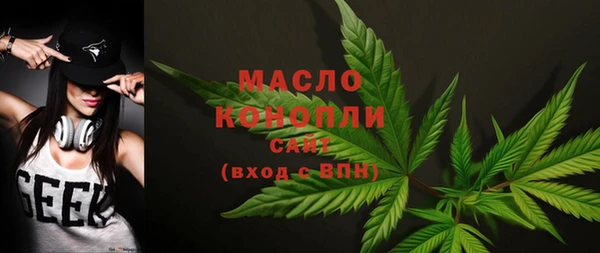 амф Горняк