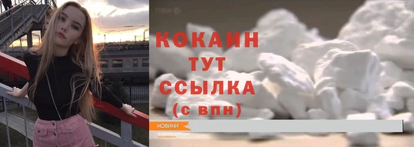 индика Вязьма