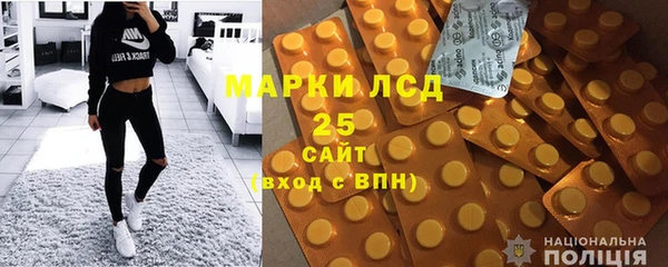 индика Вязьма
