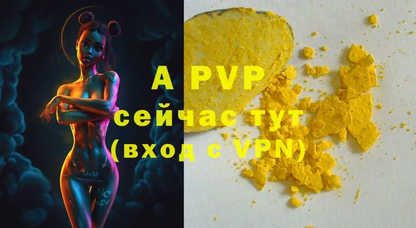 амф Горняк