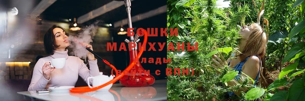 индика Вязьма