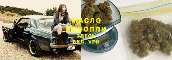 индика Вязьма