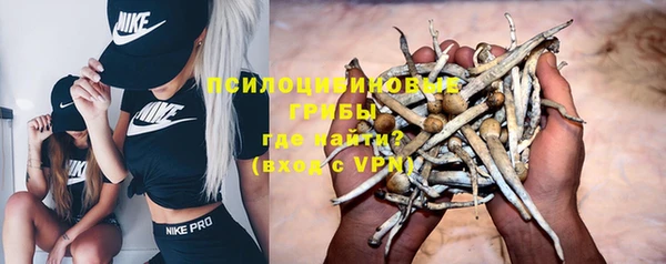 дурь Вяземский