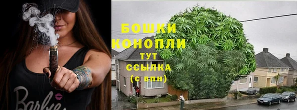 индика Вязьма