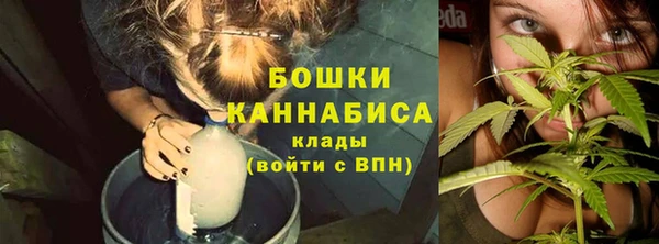 дурь Вяземский