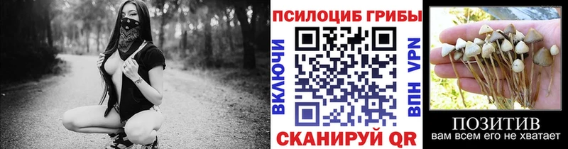 Псилоцибиновые грибы прущие грибы  Купить  Курильск 